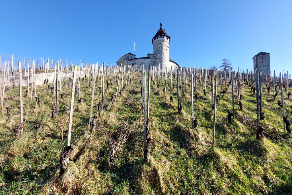 Relevé du bâtiment et modélisation 3D du Munot à Schaffhouse, HMQ AG