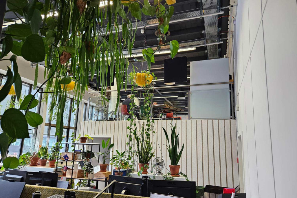 P15 Coworking à Bienne, espaces de travail, site HMQ